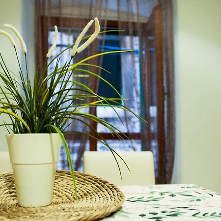 Apartman Flower 시베니크 외부 사진