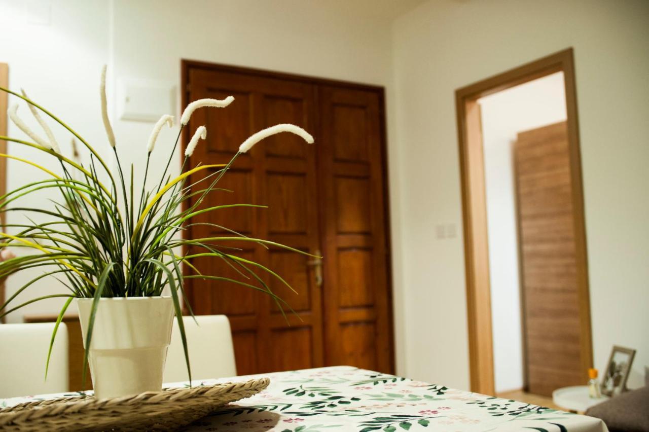 Apartman Flower 시베니크 외부 사진